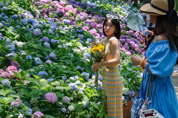 فتيات يجمعن الزهور الكوبية على الجبل الأرجواني في الصين. - سبوتنيك عربي