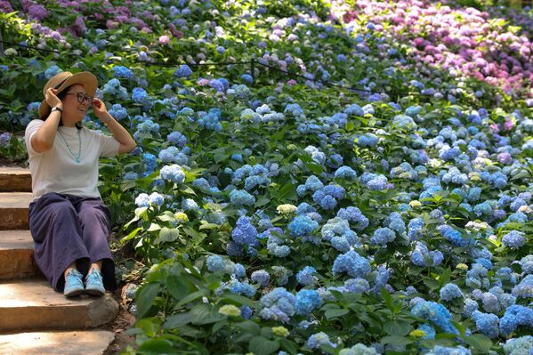 فتاة تستمتع بمشاهدة الزهور الكوبية ذات اللون الأزرق. - سبوتنيك عربي
