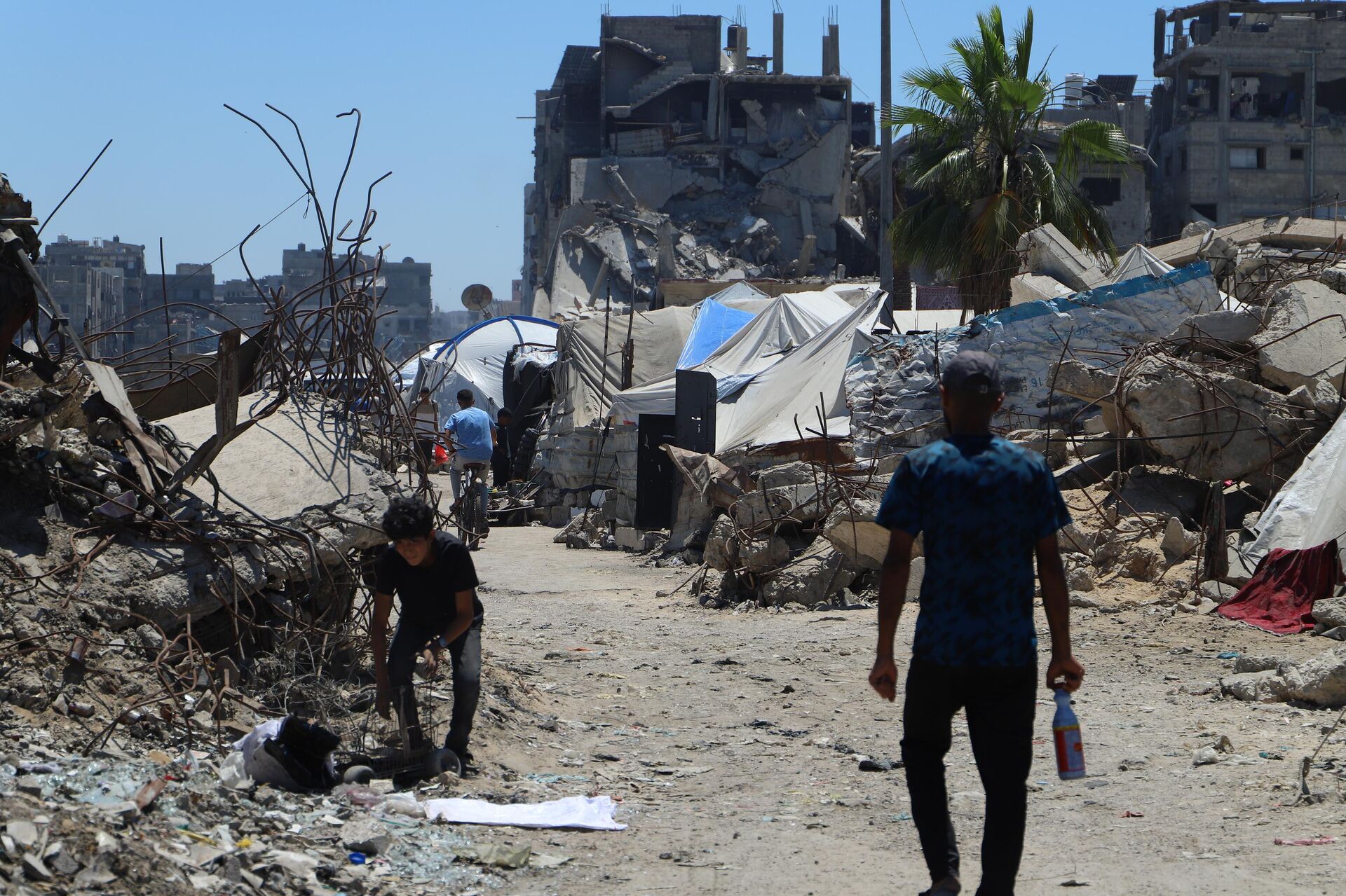 الفلسطينيون شمال غزة يكافحون للبقاء في ظل غياب المساعدات  - سبوتنيك عربي, 1920, 03.06.2025