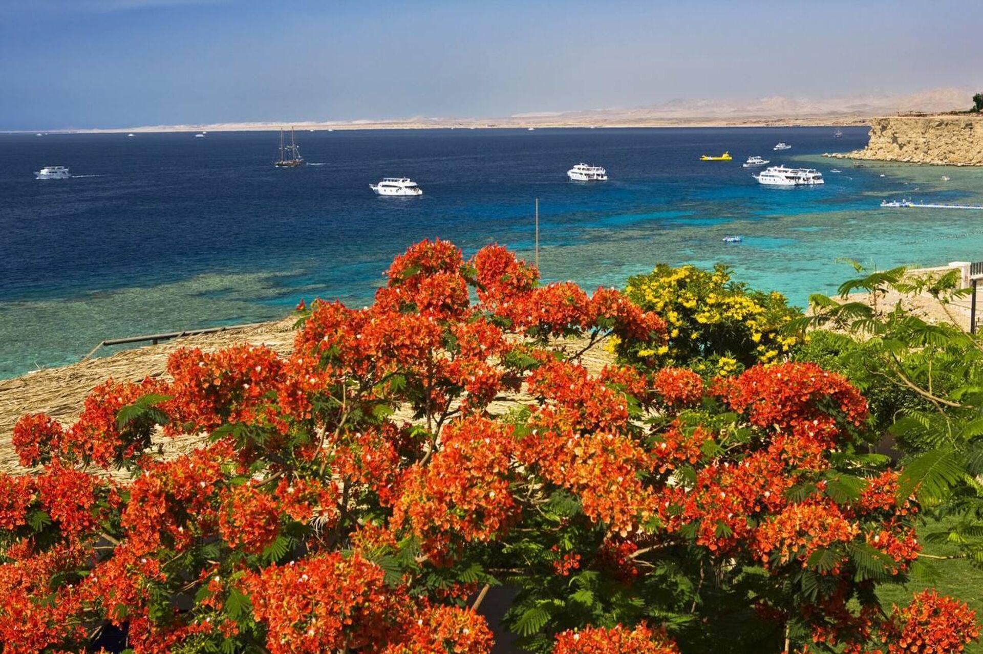 محافظة جنوب سيناء المصرية - سبوتنيك عربي, 1920, 04.06.2025