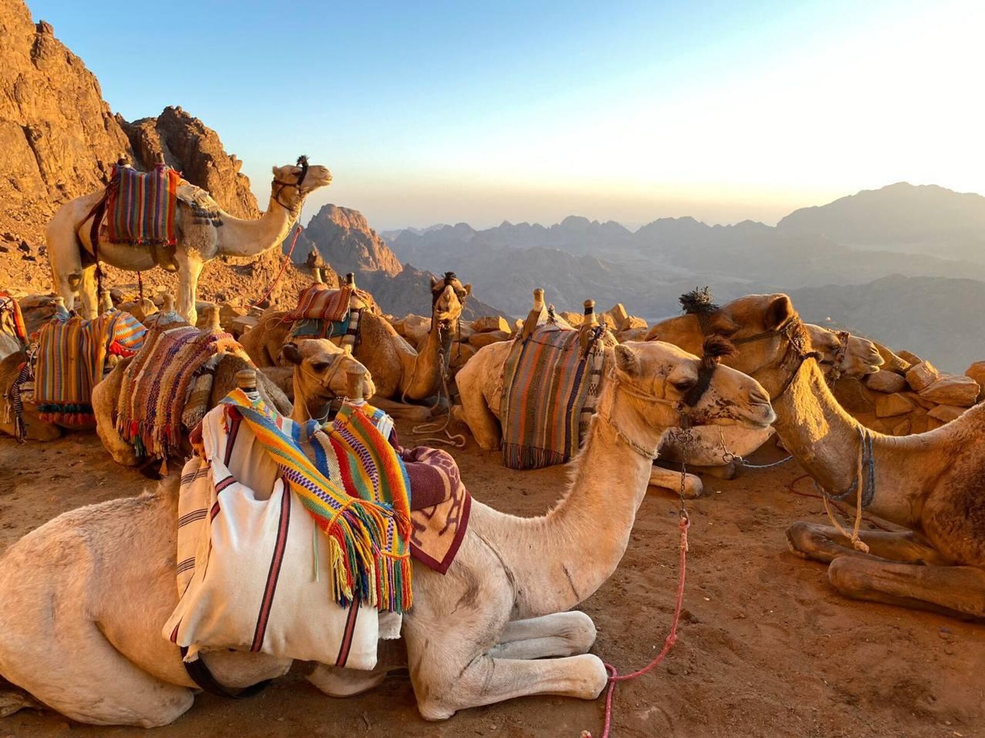 محافظة جنوب سيناء المصرية - سبوتنيك عربي, 1920, 04.06.2025