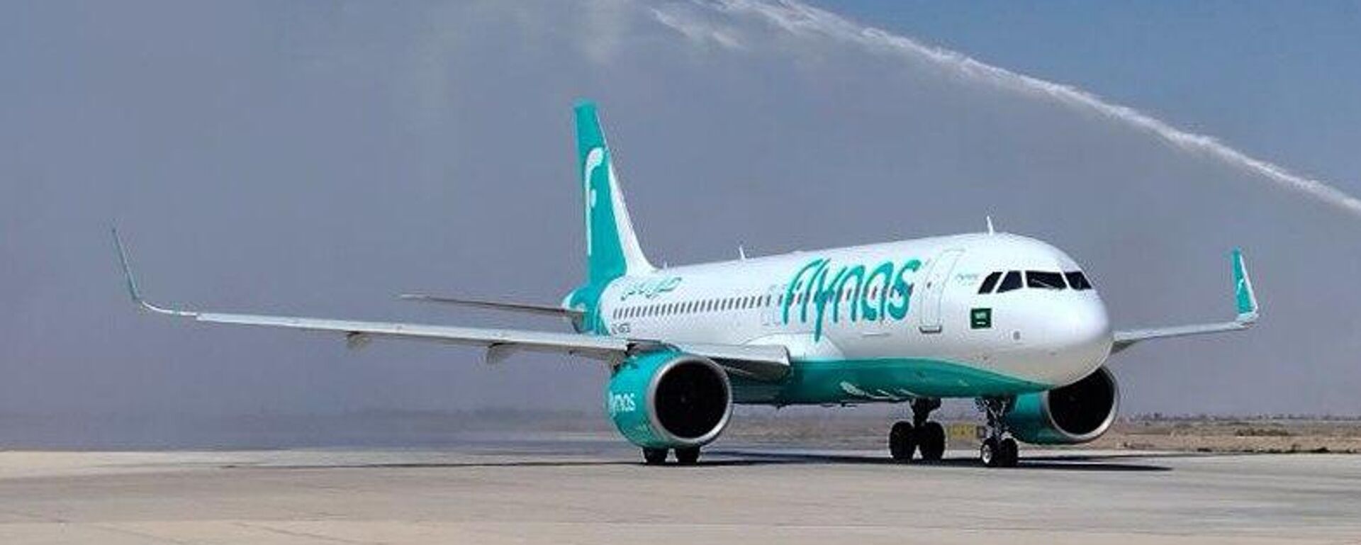 طائرات فلاي ناس السعودية تهبط في مطار دمشق - سبوتنيك عربي, 1920, 25.08.2025