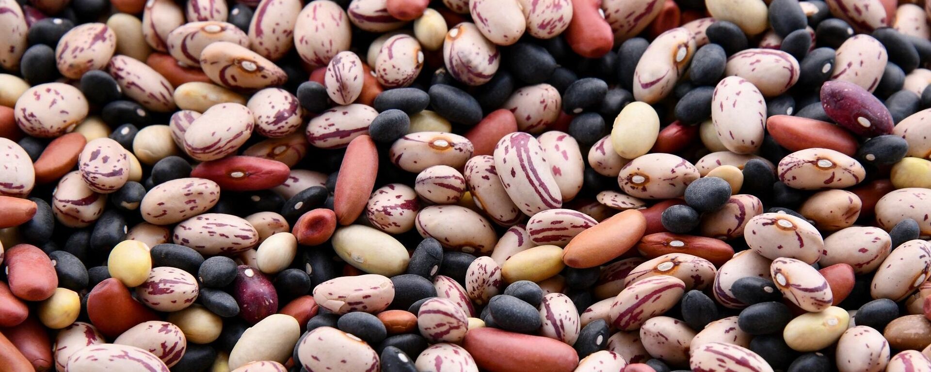 أنواع من الفاصولياء - سبوتنيك عربي, 1920, 07.06.2025