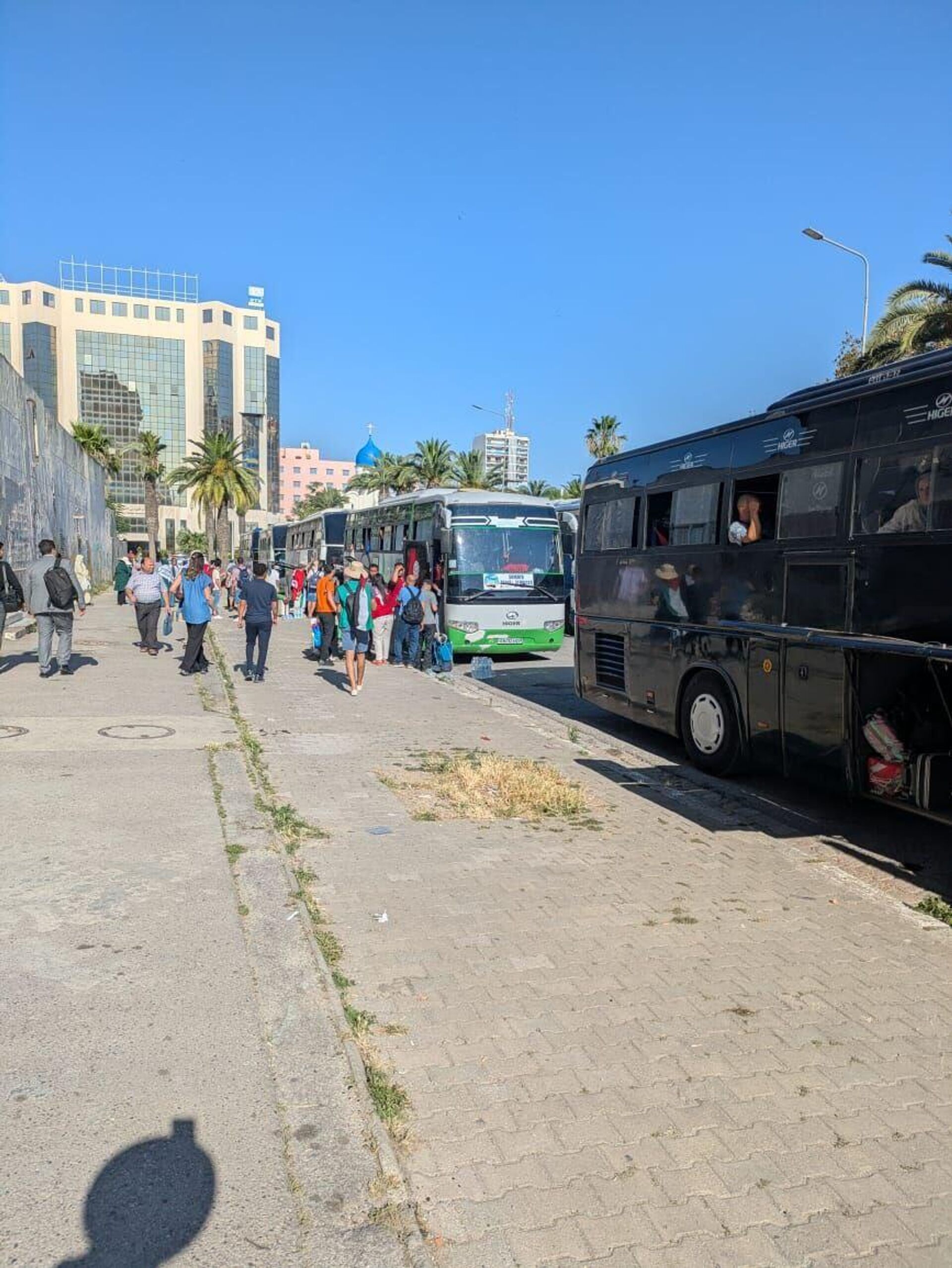 قافلة الصمود البرية تنطلق من تونس نحو معبر رفح المصري - سبوتنيك عربي, 1920, 09.06.2025