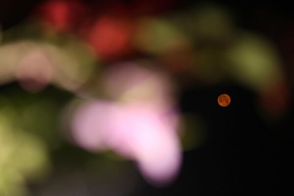 &quot;قمر الفراولة&quot; المكتمل يسطع في سريناغار، كشمير - سبوتنيك عربي