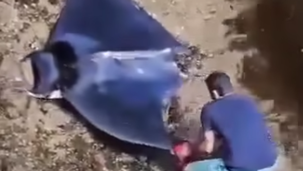  - سبوتنيك عربي