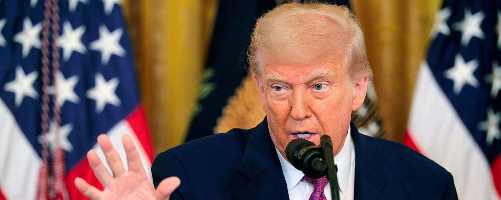  الرئيس الأمريكي دونالد ترامب - سبوتنيك عربي, 1920, 16.06.2025