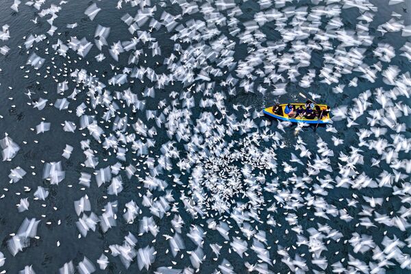 صورة تعبر عن الهدوء للصحفي مشفق، بنغلاديش. صورة تعبر عن الهدوء للصحفي مشفق، بنغلاديش. - سبوتنيك عربي