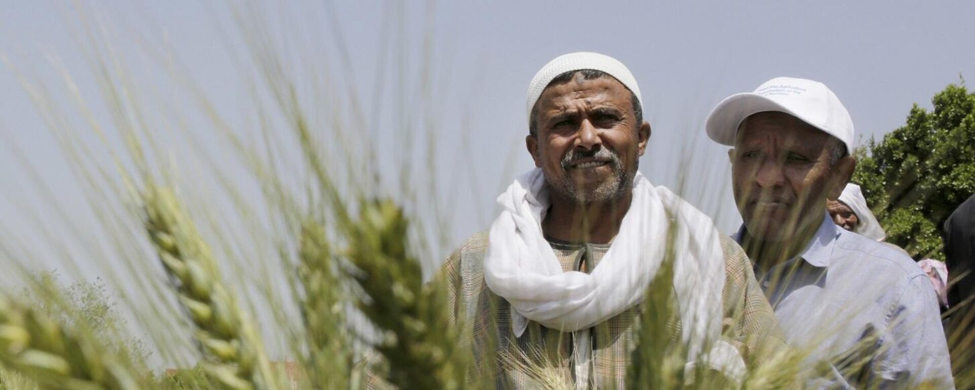 مزارعون مصريون - سبوتنيك عربي, 1920, 18.06.2025