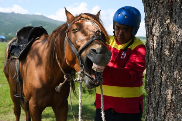 أحد أعضاء فريق الفروسية قبل مباراة في بطولة جمهورية ألتاي "كوك بورو" في قرية أوست-كان. "كوك بورو" هي لعبة فروسية وطنية، حيث يتعين على اللاعبين، دون النزول عن خيولهم، رفع جثة ماعز من الأرض ورميها في بوابة (تاي كازان). - سبوتنيك عربي