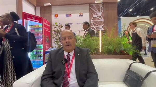 المدير التنفيذي لجمعية المصدرين المصريين، أحمد طه - سبوتنيك عربي