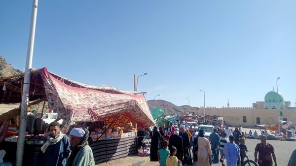  - سبوتنيك عربي