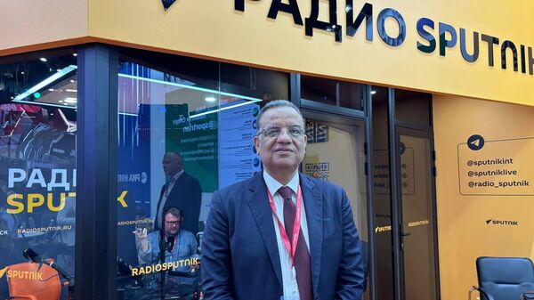 رئيس لجنة الثقافة والسياحة والآثار والإعلام في مجلس الشيوخ المصري، الدكتور محمود مسلم - سبوتنيك عربي