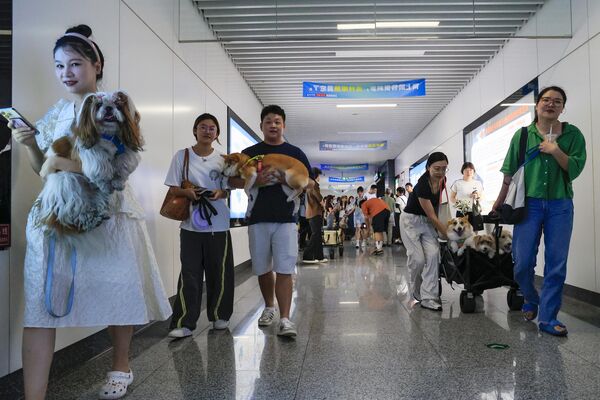 ركاب يحملون كلابهم الأليفة أثناء دخولهم لقطار يسمح باصطحاب الحيوانات الأليفة في مقاطعة تشجيانغ الصينية - سبوتنيك عربي