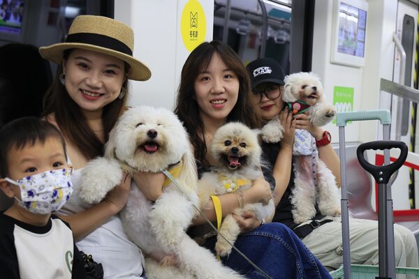 ركاب يلتقطون صورة مع كلابهم الأليفة في قطار يسمح باصطحاب الحيوانات الأليفة في مقاطعة تشجيانغ الصينية - سبوتنيك عربي