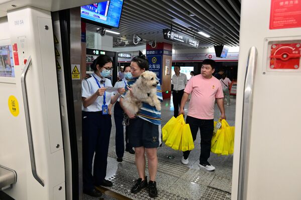 موظفة تذاكر تتحقق من تذكرة راكبة في الصين وهي حاملة كلبها أثناء دخولها إلى قطار يسمح باصطحاب الحيوانات الأليفة في مقاطعة تشجيانغ الصينية - سبوتنيك عربي