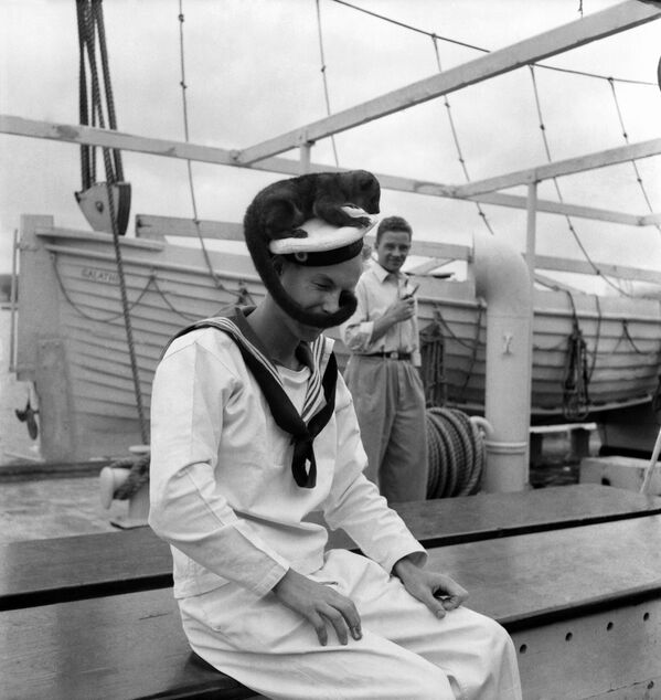 قرد "كينكاجو" على رأس بحار دنماركي، في يونيو/حزيران 1952. - سبوتنيك عربي