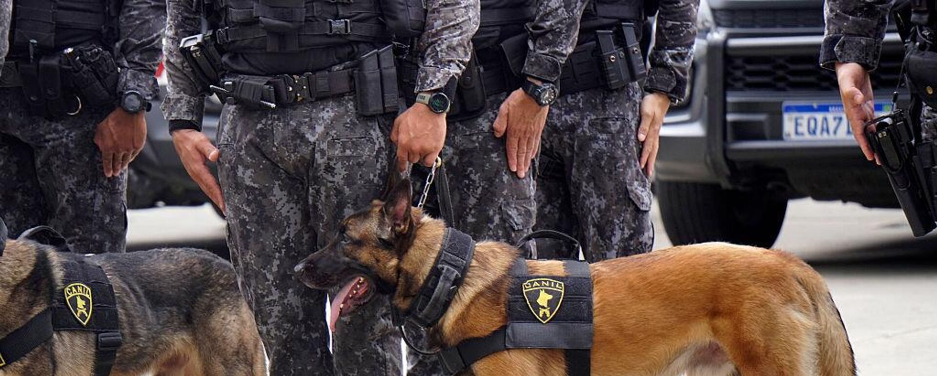 الشرطة البرازيلية - سبوتنيك عربي, 1920, 26.06.2025