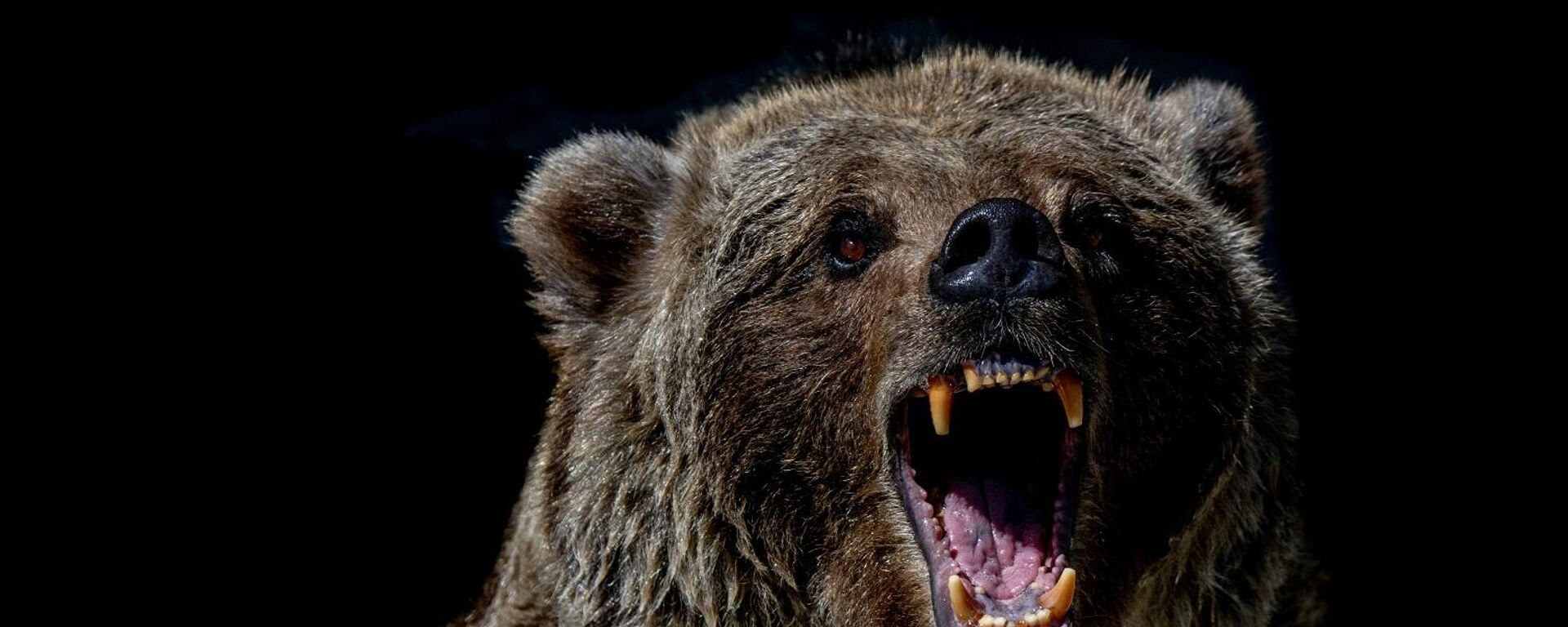 دب - سبوتنيك عربي, 1920, 21.09.2025