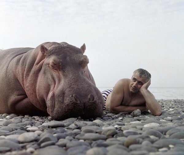 مدرب حيوانات مع فرس نهر على شاطئ البحر الأسود. - سبوتنيك عربي