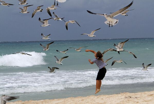 طفلة تلعب مع طيور النورس على شاطئ بلايا ديل كارمن، المكسيك، أثناء اقتراب العاصفة الاستوائية رينا، الخميس 27 أكتوبر 2011. - سبوتنيك عربي