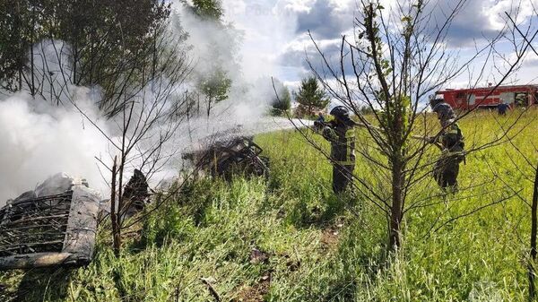 تحطم طائرة خفيفة - سبوتنيك عربي