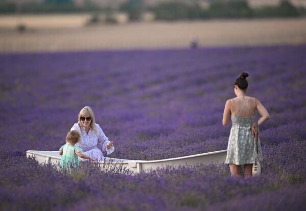 صورة تظهر جمال حقول نبات الخزامى وألوانها الزاهية. صورة تظهر جمال حقول نبات الخزامى وألوانها الزاهية. - سبوتنيك عربي