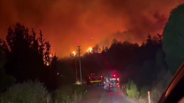 حرائق الغابات التي اجتاحت تركيا والتهمت مناطق واسعة من البلاد  - سبوتنيك عربي