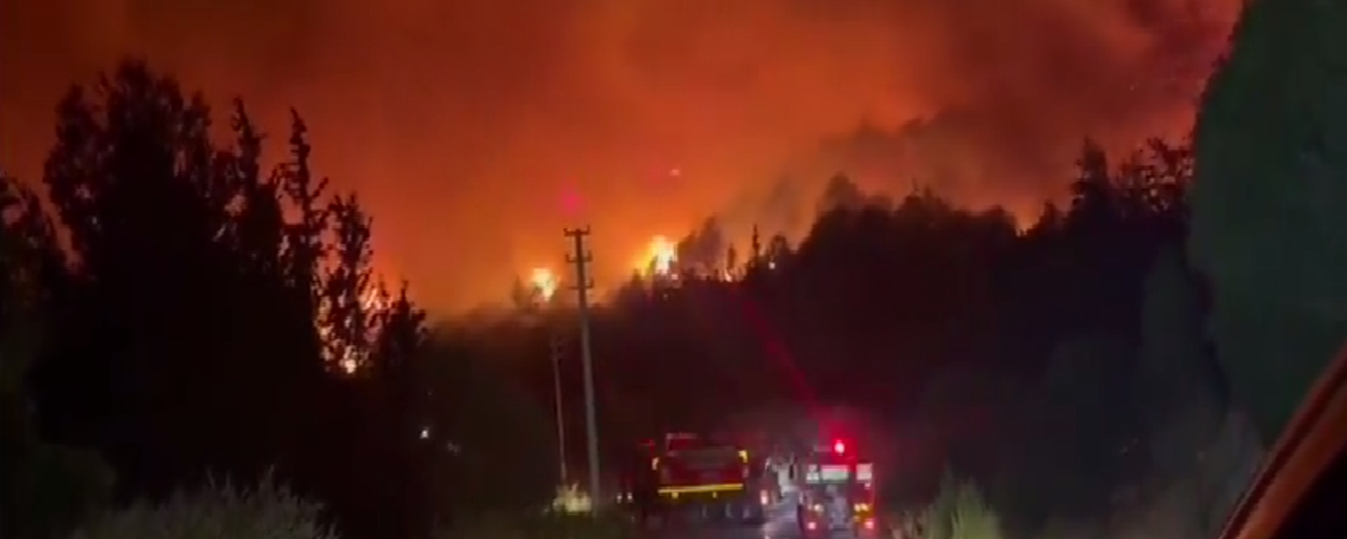 حرائق الغابات التي اجتاحت تركيا والتهمت مناطق واسعة من البلاد  - سبوتنيك عربي, 1920, 30.06.2025