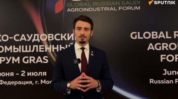 مدير مركز الدراسات العربية الأوراسية، ديمتري بريجع - سبوتنيك عربي