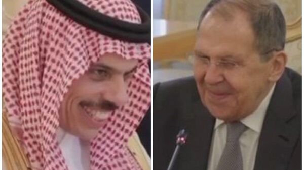  - سبوتنيك عربي