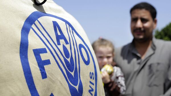 لافتة لمنظمة الأغذية والزراعة فاو في إحدى القرى المصرية - سبوتنيك عربي