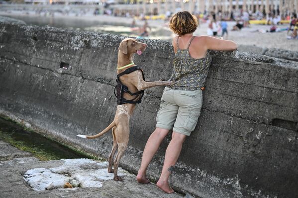 امرأة على شاطئ البحر مع كلبها في سيمايز - سبوتنيك عربي