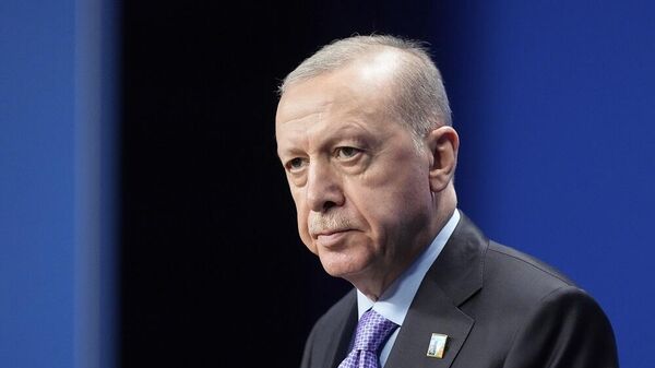 الرئيس التركي، رجب طيب أردوغان - سبوتنيك عربي