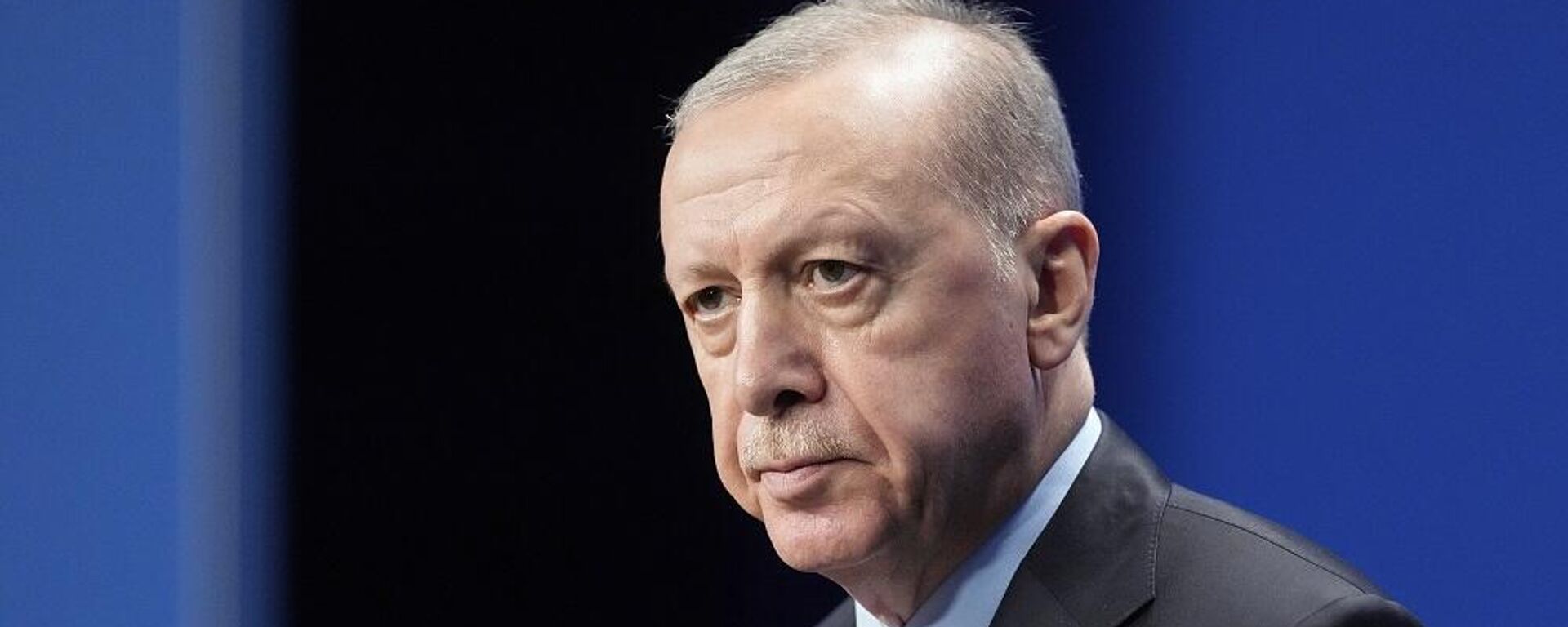 الرئيس التركي، رجب طيب أردوغان - سبوتنيك عربي, 1920, 11.07.2025