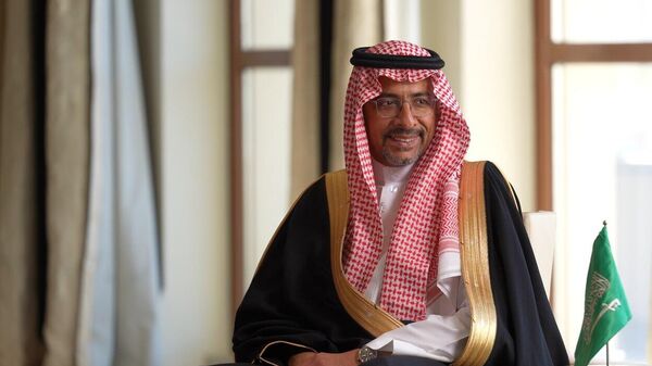  - سبوتنيك عربي