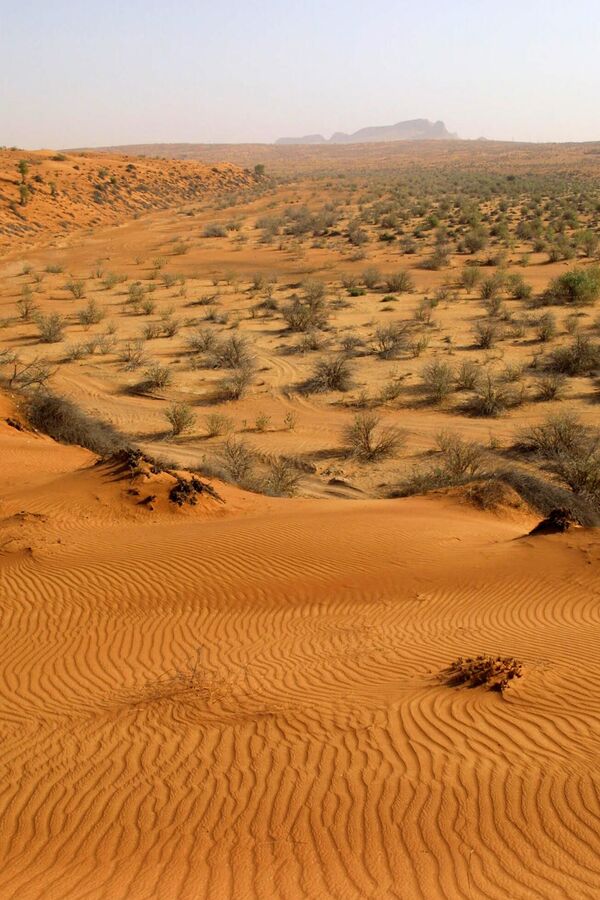 المناظر الطبيعية القديمة لصحراء الفاية في إمارة الشارقة في الإمارات العربية المتحدة تعد مواقع جديدة ضمن قائمة اليونسكو للتراث العالمي. - سبوتنيك عربي