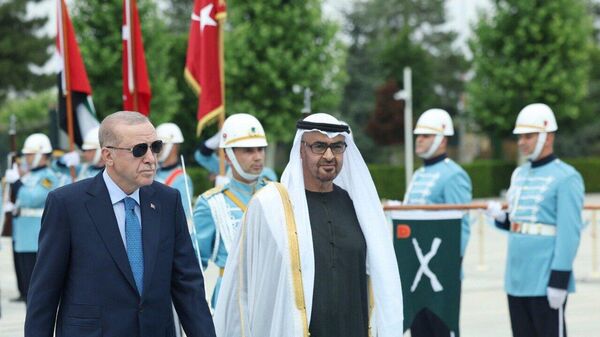 الرئيس الإماراتي يلتقي أردوغان في أنقرة - سبوتنيك عربي