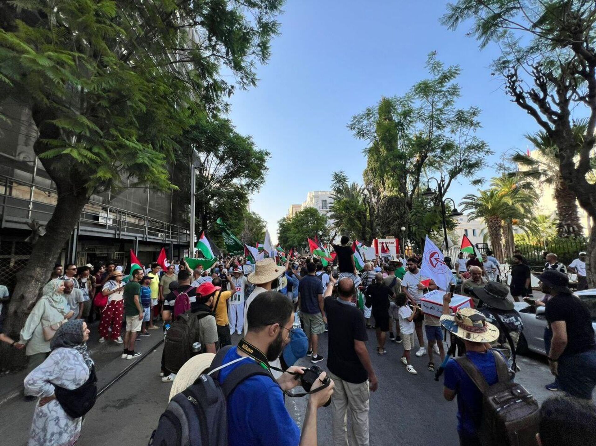 تونس تنتفض لأجل غزة.. مسيرة حاشدة تندد بالحرب والتجويع وتدعو لكسر الصمت الدولي - سبوتنيك عربي, 1920, 20.07.2025