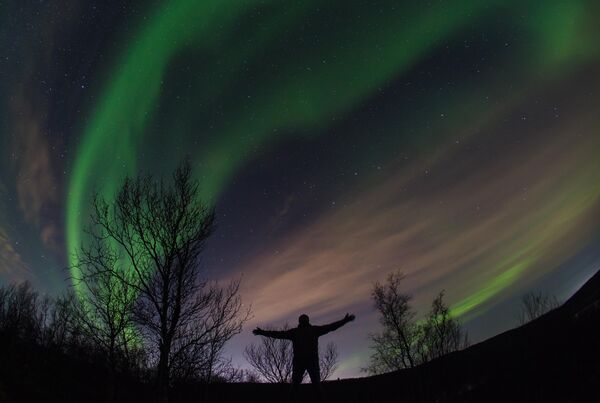 الأضواء القطبية الشمالية في محيط مورمانسك، روسيا. - سبوتنيك عربي