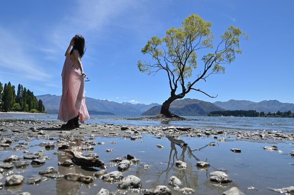 سائحة صينية تقف لالتقاط الصور أمام شجرة صفصاف تعرف باسم شجرة "واناكا" في نيوزيلندا. - سبوتنيك عربي