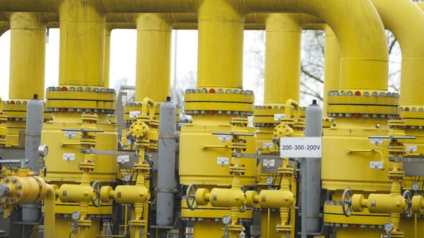 محطة غاز طبيعي مسال - سبوتنيك عربي