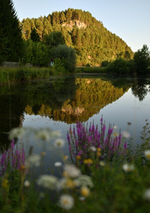 نهر بولشوي إنزر في باشكيريا. - سبوتنيك عربي