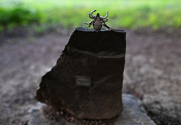 نصب تذكاري لحشرة "القراد فاليرا" في العاصمة أوفا. - سبوتنيك عربي