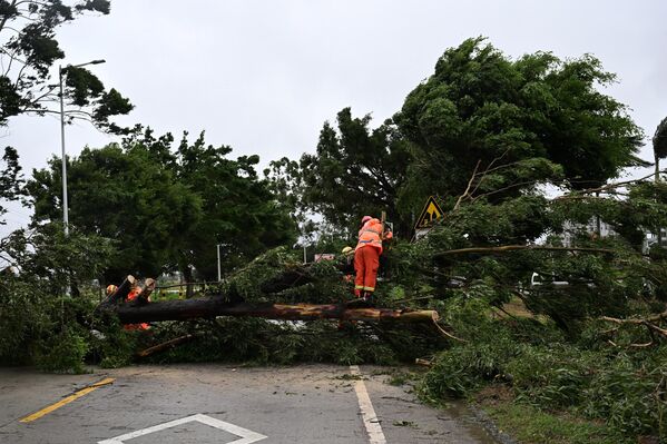 موظفون يزيلون أغصان الأشجار المتساقطة مع هبوب رياح عاتية على مقاطعة غوانغدونغ، الصين. - سبوتنيك عربي