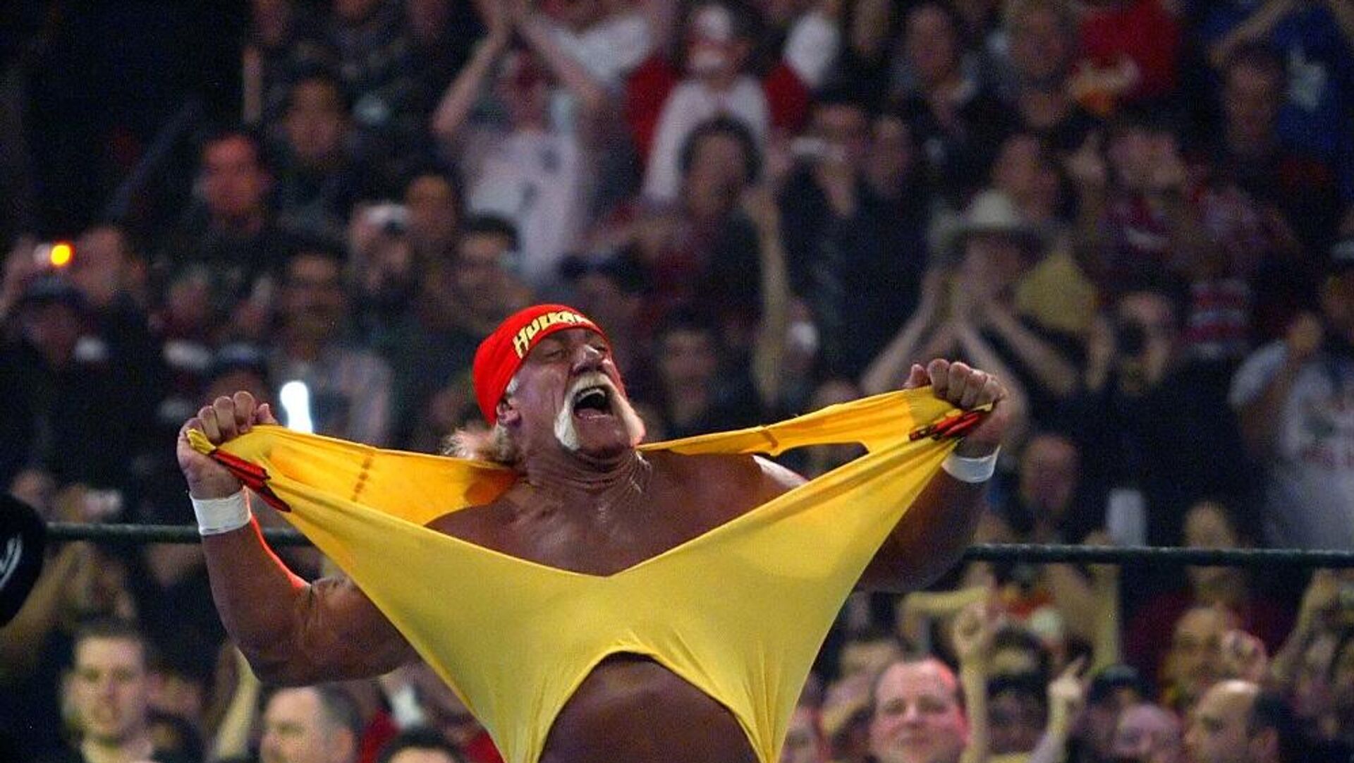 أسطورة المصارعة الحرة الأمريكي، هالك هوغان أسطورة المصارعة الحرة الأمريكي، هالك هوغان - سبوتنيك عربي, 1920, 24.07.2025