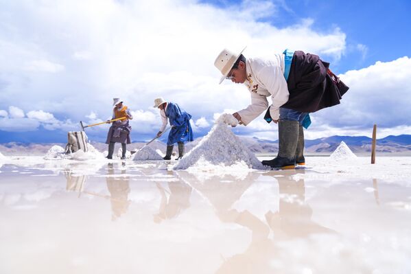 يقوم السكان بجمع الملح الخام من بحيرة ملحية في مقاطعة جيجي، في الصين، في تقليد يهدف إلى إحياء طريق تجاري عريق يعود تاريخه إلى آلاف السنين. - سبوتنيك عربي