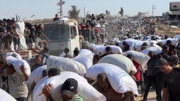 الحصول على كيس الطحين في قطاع غزة مخاطرة يدفعها الجوع قد تنتهي بالموت - سبوتنيك عربي