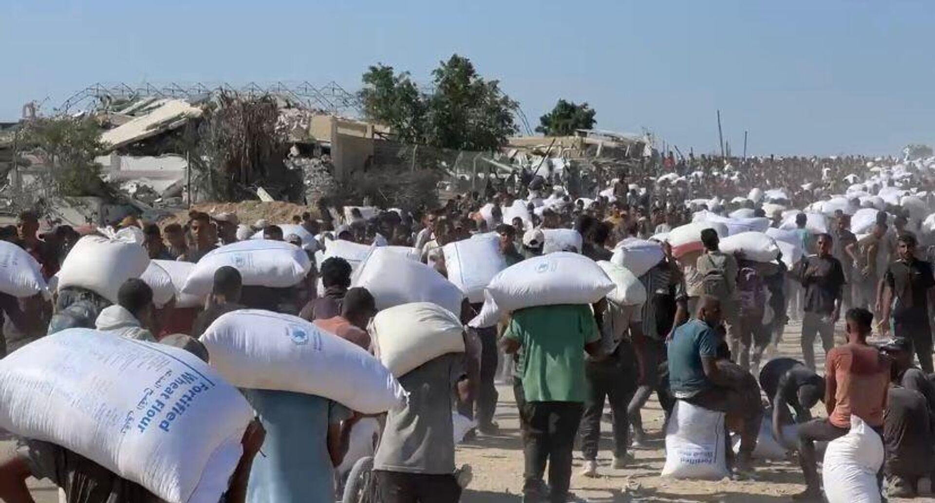 الحصول على كيس الطحين في قطاع غزة مخاطرة يدفعها الجوع قد تنتهي بالموت - سبوتنيك عربي, 1920, 28.07.2025