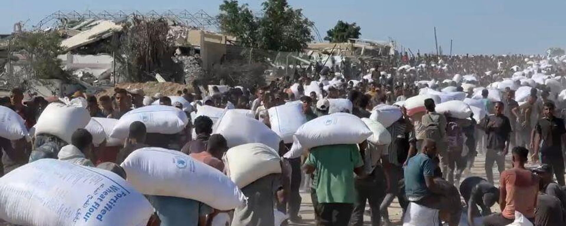الحصول على كيس الطحين في قطاع غزة مخاطرة يدفعها الجوع قد تنتهي بالموت - سبوتنيك عربي, 1920, 07.09.2025